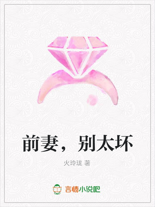 前妻,别太坏