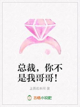 总裁,你不是我哥哥！