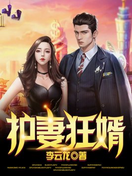 护妻狂婿