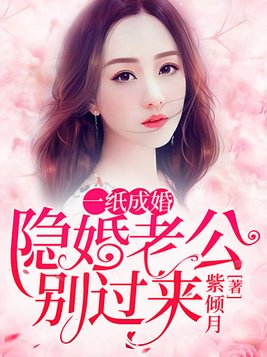 一纸成婚：隐婚老公别过来