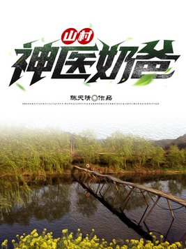 山村神医奶爸