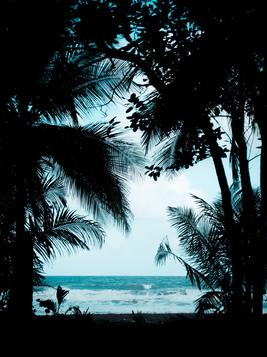 结婚七年,我亲手把老公送进了监狱