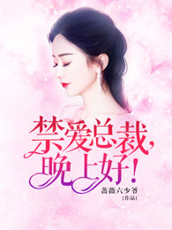 禁爱总裁,晚上好！