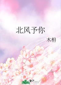 北风予你
