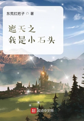 遮天之我是小石头