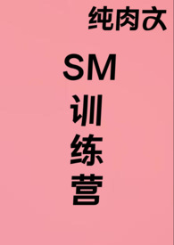 SM训练营