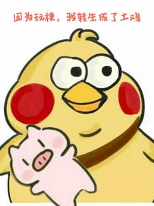 因为玩梗，我转生成了土鸡