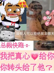 我把真心给你，你转头给了他？