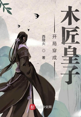 开局穿成木匠皇子