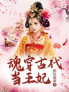 魂穿古代当王妃