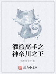 灌篮高手之神奈川之王