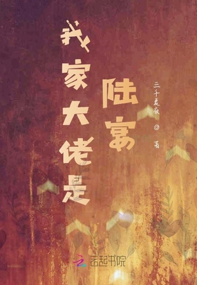 我家大佬是陆宴