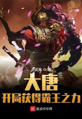 大唐开局获得霸王之力