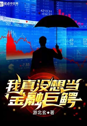 金融巨鳄我能看见回报率