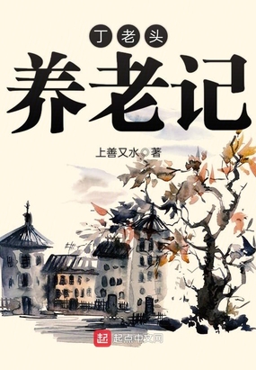 丁老头养老记